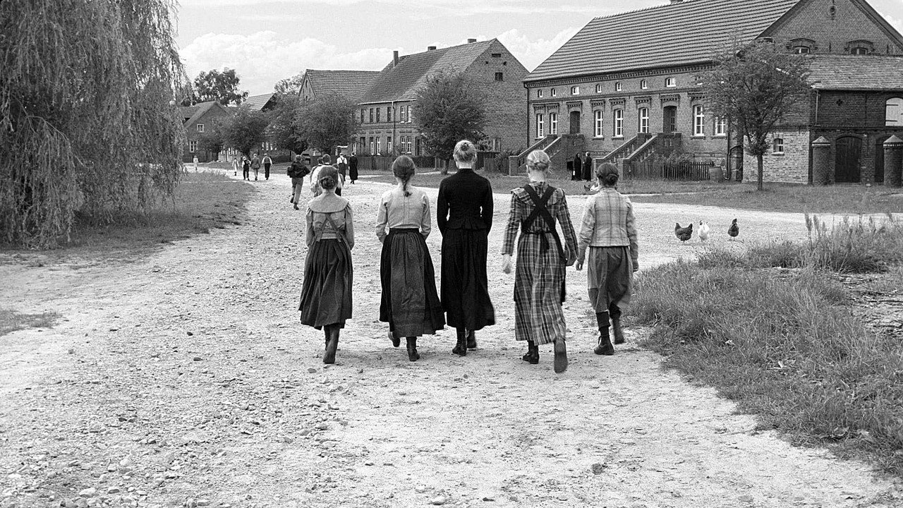 The White Ribbon still 3
