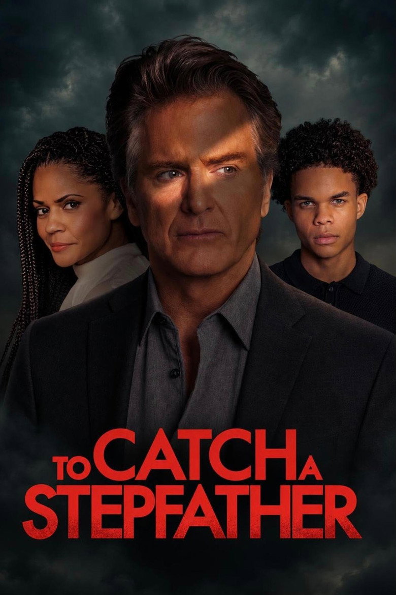 To Catch a Stepfather poster