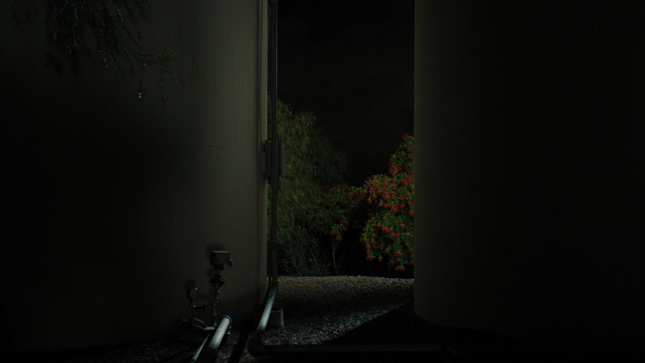 Tomorrow, You Pretty Ghost still