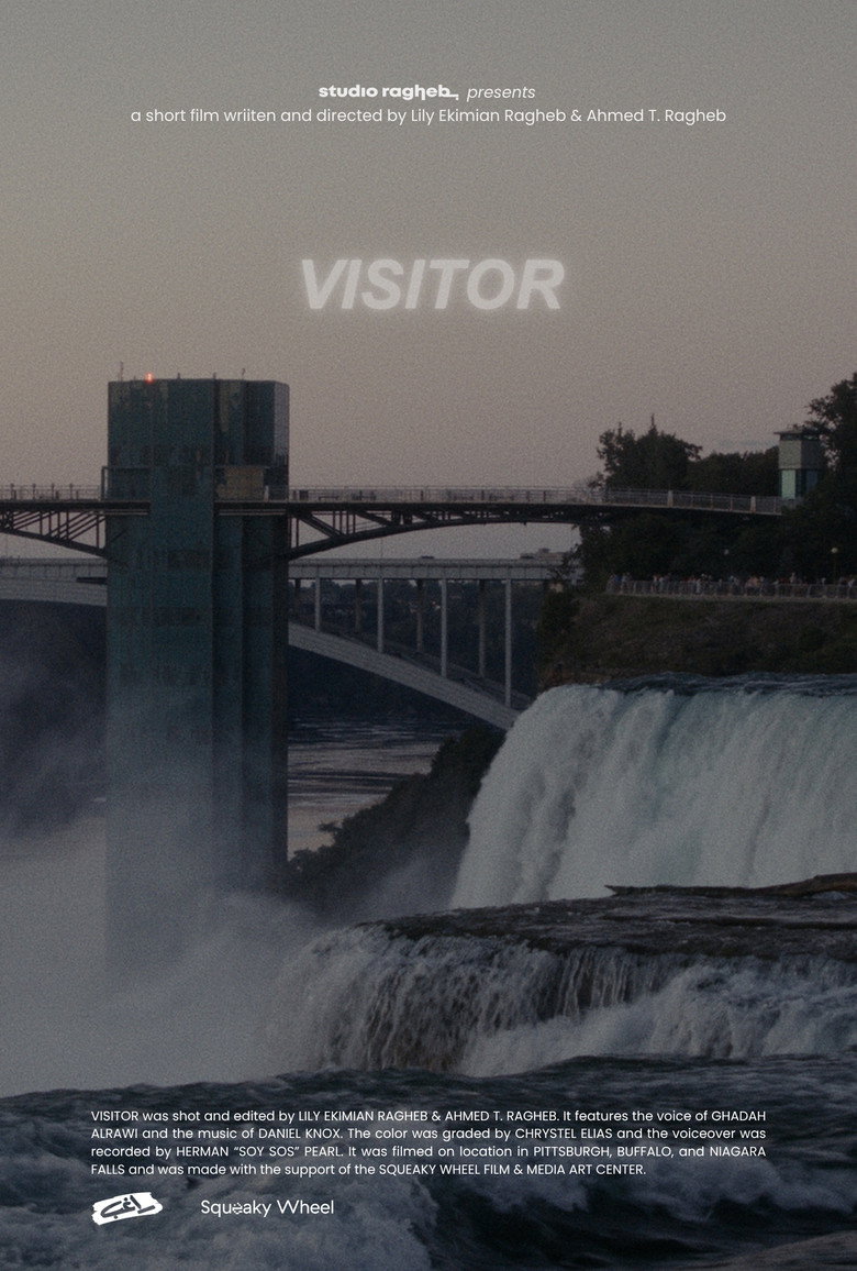 Visitor movie poster