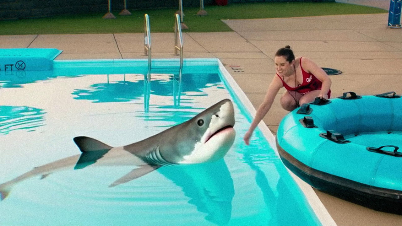 Water Park Shark still 2