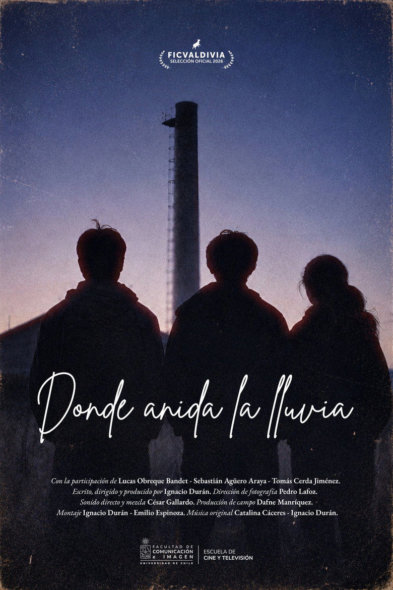 Where the Rain Nests movie poster