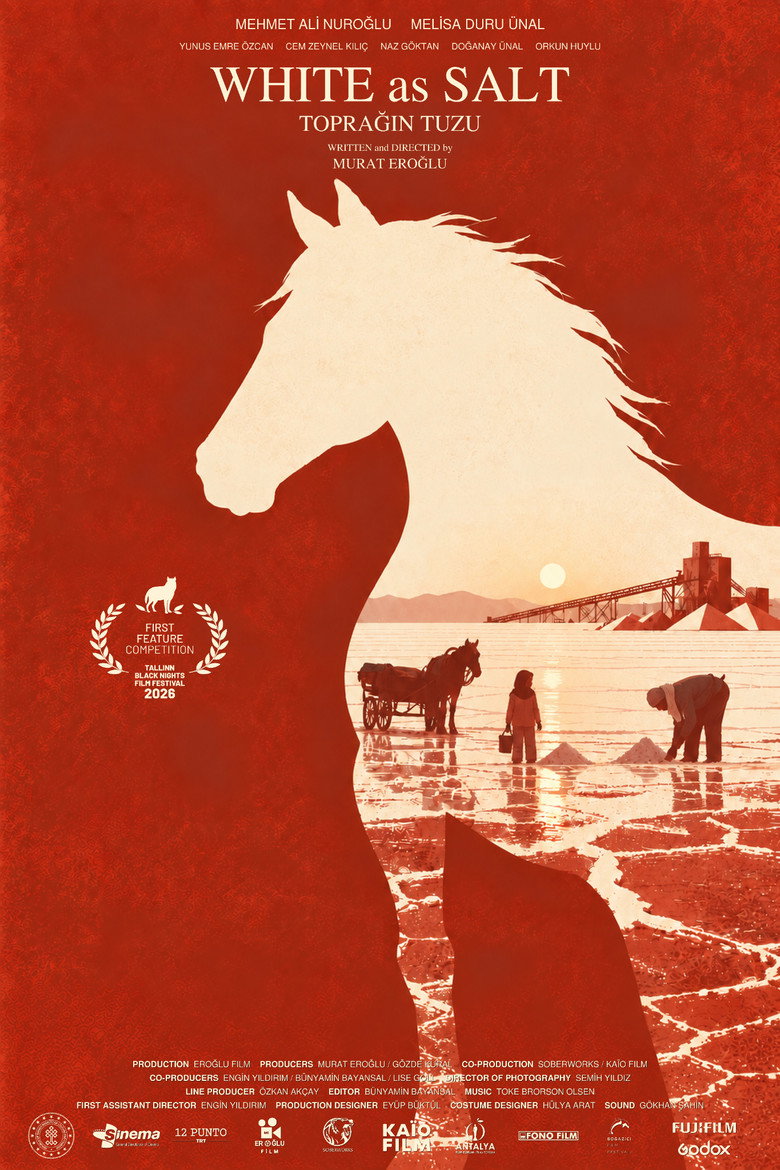 White as Salt movie poster