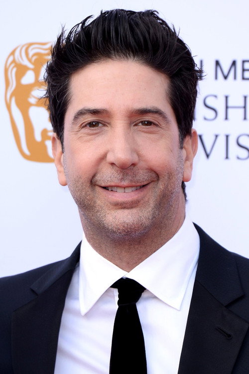 David Schwimmer portrait 2
