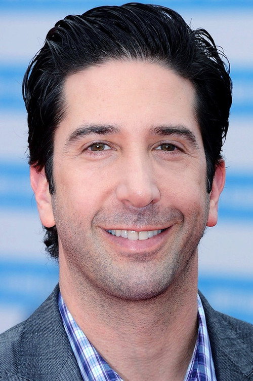 David Schwimmer portrait