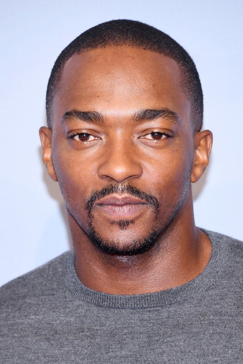 Anthony Mackie portrait