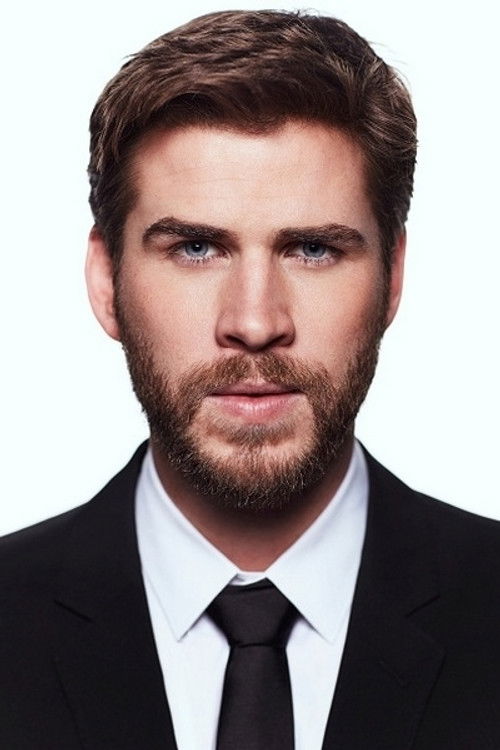 Liam Hemsworth portrait
